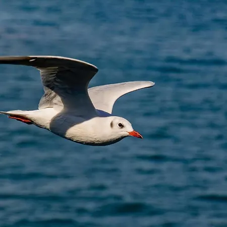 Lägenhet Gaestezimmer Paul